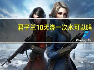 君子兰10天浇一次水可以吗