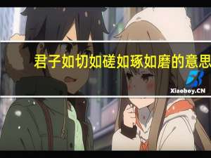 君子如切如磋如琢如磨的意思