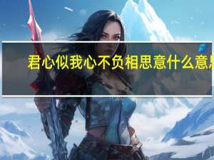 君心似我心不负相思意什么意思