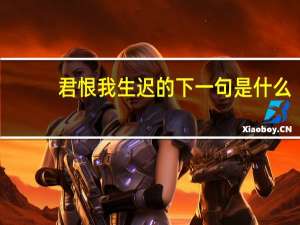 君恨我生迟的下一句是什么