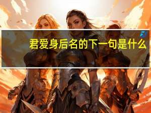 君爱身后名的下一句是什么