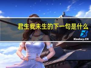 君生我未生的下一句是什么