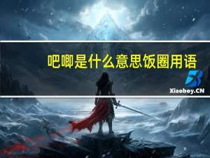 吧唧是什么意思饭圈用语