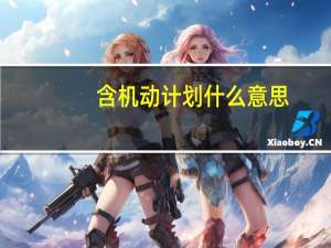 含机动计划什么意思