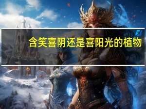 含笑喜阴还是喜阳光的植物