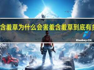 含羞草为什么会害羞 含羞草到底有多害羞