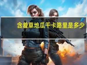 含羞草 地瓜干卡路里是多少