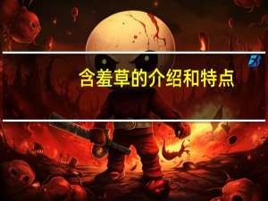 含羞草的介绍和特点