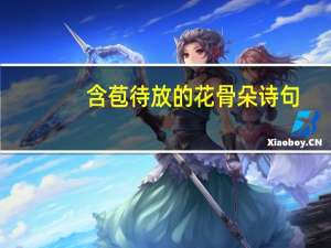 含苞待放的花骨朵诗句