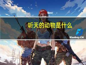 听天的动物是什么