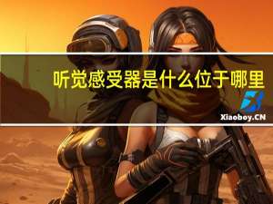 听觉感受器是什么位于哪里（听觉感受器是什么）