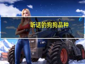听话的狗狗品种