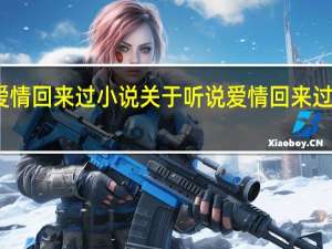 听说爱情回来过小说 关于听说爱情回来过小说的介绍