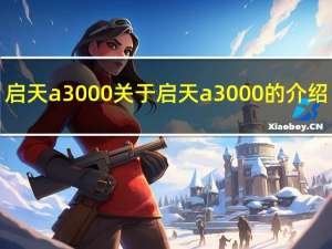 启天a3000 关于启天a3000的介绍