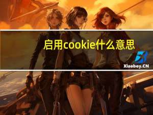 启用cookie什么意思