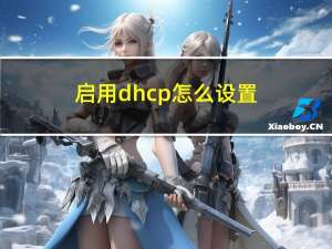 启用dhcp怎么设置（启用dhcp）