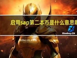 启用sap第二本币是什么意思啊