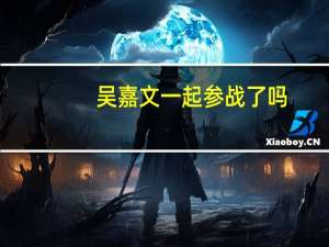 吴嘉文一起参战了吗？