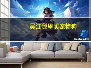 吴江哪里买宠物狗