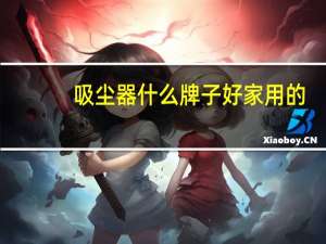 吸尘器什么牌子好家用的