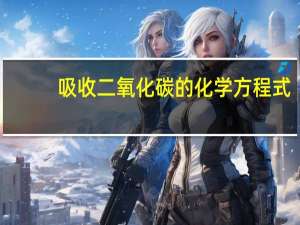 吸收二氧化碳的化学方程式
