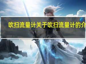 吹扫流量计 关于吹扫流量计的介绍