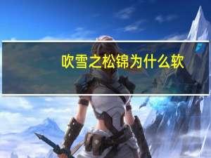 吹雪之松锦为什么软