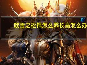 吹雪之松锦怎么养长高怎么办