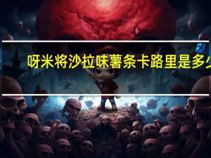 呀米将 沙拉味薯条卡路里是多少