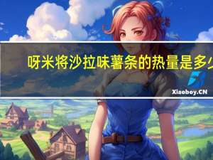 呀米将 沙拉味薯条的热量是多少