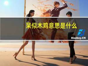 呆似木鸡意思是什么