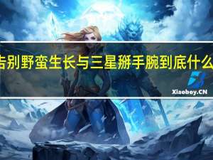 告别野蛮生长与三星掰手腕 到底什么情况嘞