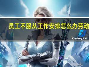 员工不服从工作安排怎么办劳动法（员工不服从工作安排怎么办）