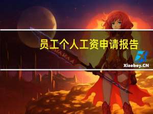 员工个人工资申请报告