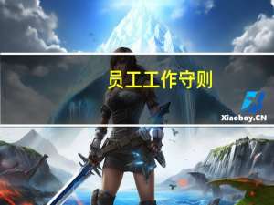 员工工作守则