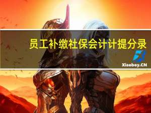 员工补缴社保会计计提分录（补缴社保的会计分录）