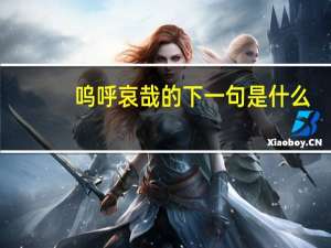 呜呼哀哉的下一句是什么