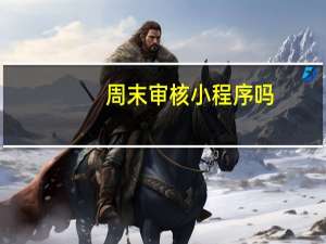周末审核小程序吗