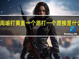 周瑜打黄盖一个愿打一个愿挨是什么意思