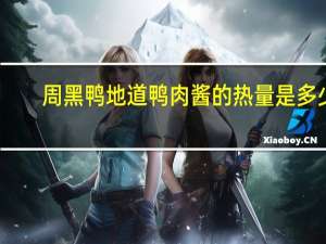 周黑鸭 地道鸭肉酱的热量是多少