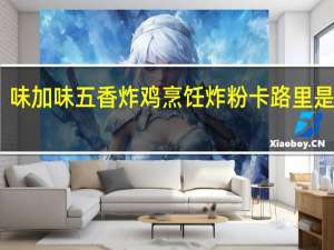 味加味 五香炸鸡烹饪炸粉卡路里是多少