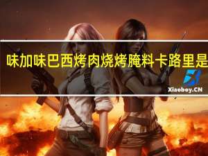 味加味 巴西烤肉烧烤腌料卡路里是多少