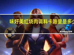 味好美 红烧肉调料卡路里是多少