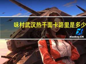 味村 武汉热干面卡路里是多少