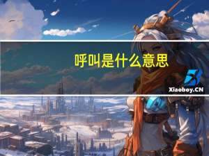 呼叫是什么意思