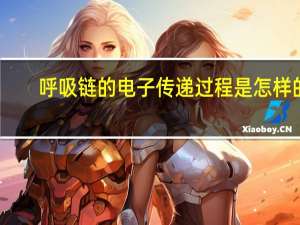呼吸链的电子传递过程是怎样的