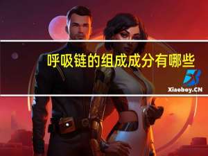 呼吸链的组成成分有哪些