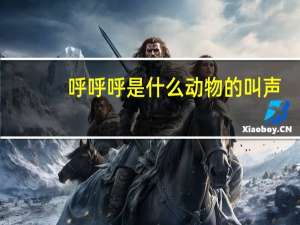 呼呼呼是什么动物的叫声