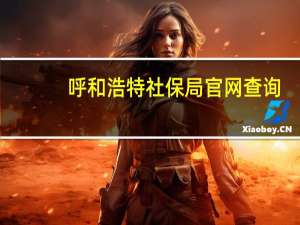 呼和浩特社保局官网查询（呼和浩特社保局官网）
