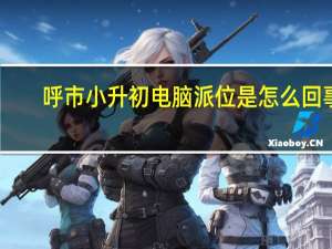 呼市小升初电脑派位是怎么回事